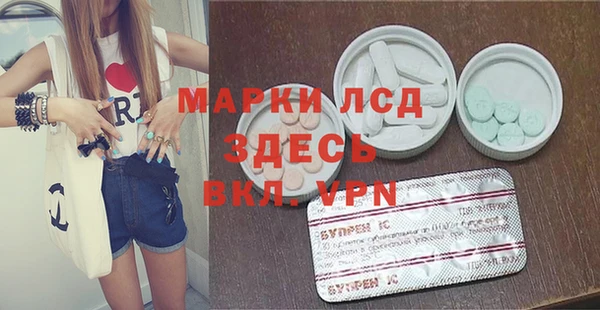 сатива Корсаков