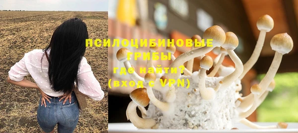 каннабис Алзамай